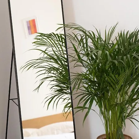 Three Bedroom In The Centre Of The Apartment *